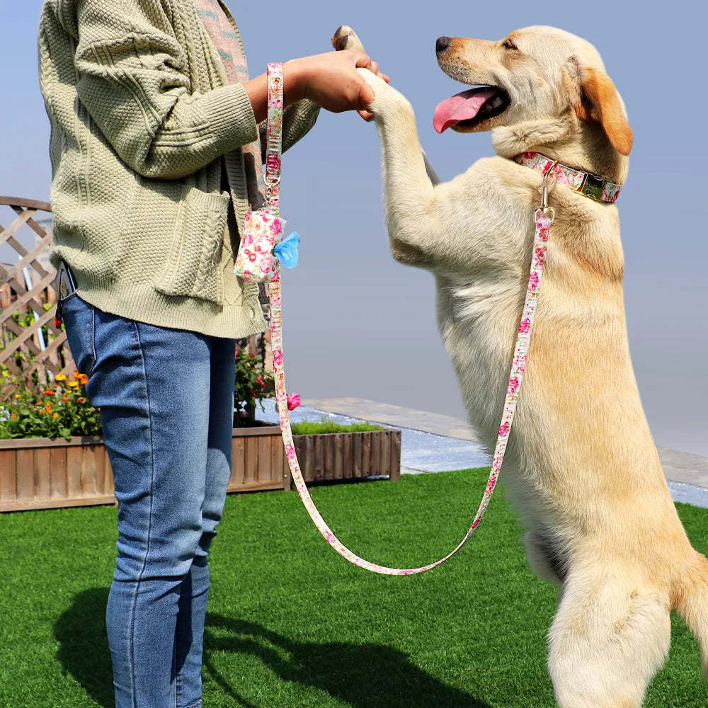 Elevate Your Dog's Style with Our Custom Dog Tag Dog Collar